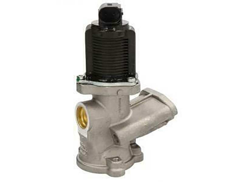 EGR valve